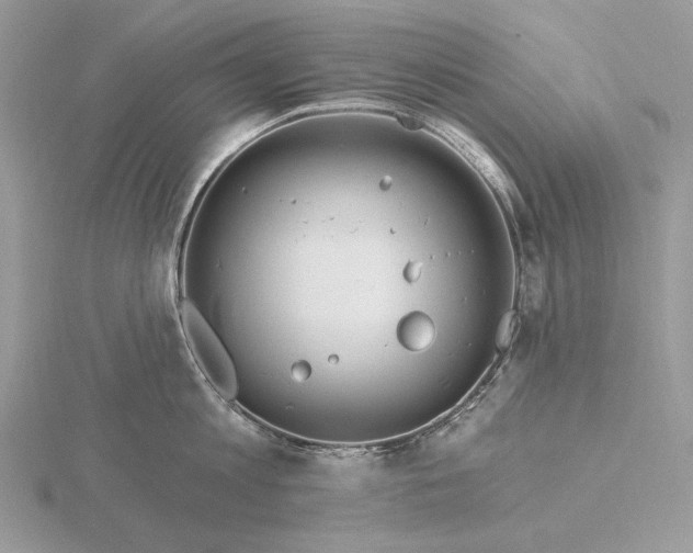 X0000116160813200912071323