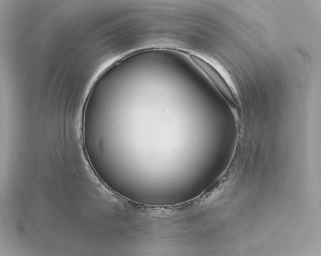 X0000116160815200912071323