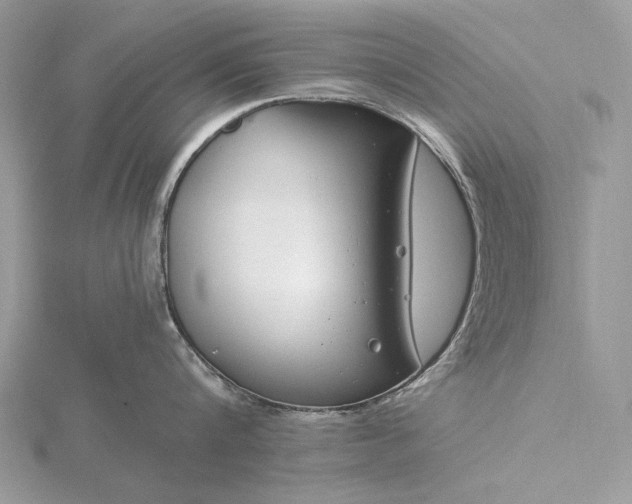 X0000116160816200912071323