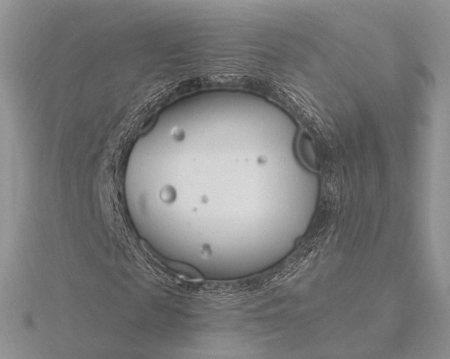 X0000116160817200912071323