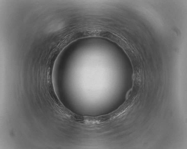 X0000116160818200912071323