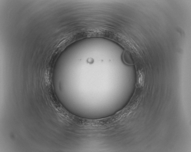 X0000116160819200912071323