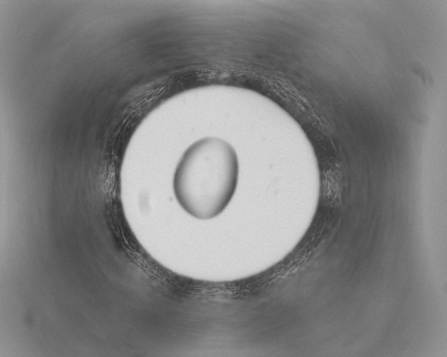 X0000116160820200912071323