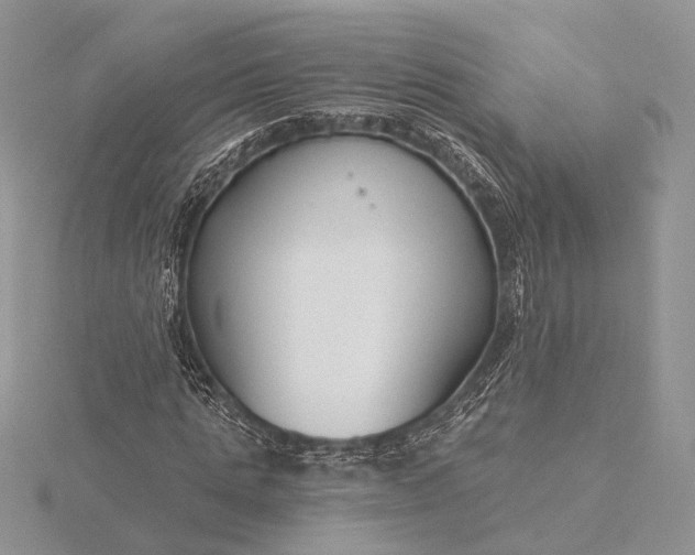 X0000116160821200912071323