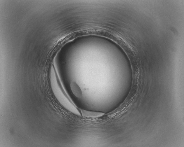 X0000116160822200912071323