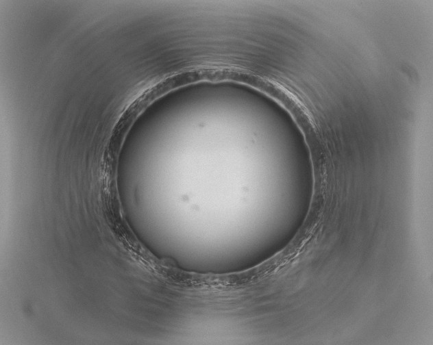 X0000116160823200912071323