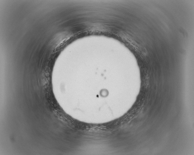 X0000116160824200912071323