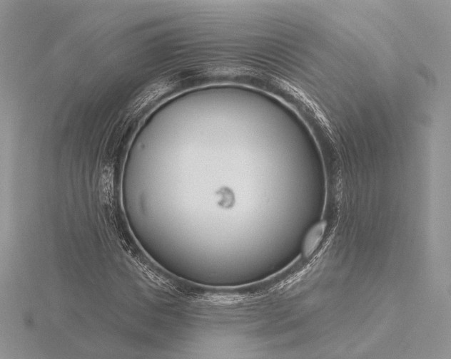 X0000116160825200912071323