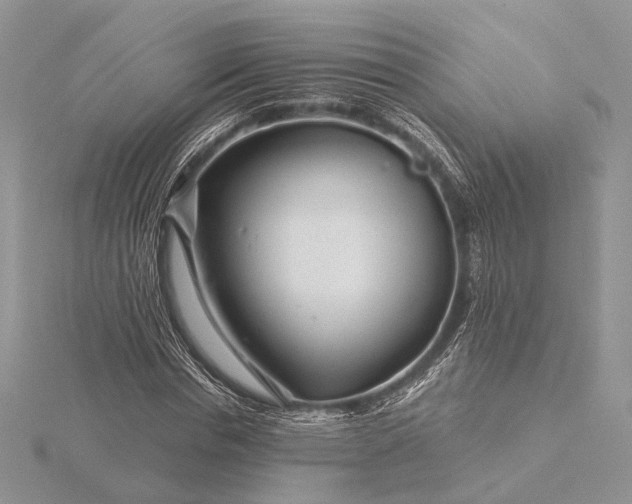 X0000116160826200912071323