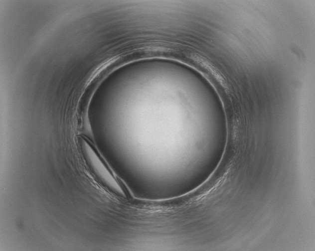 X0000116160829200912071323