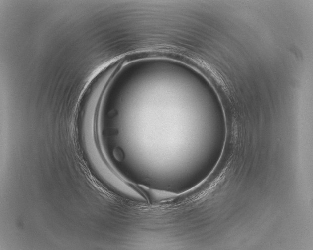 X0000116160830200912071323