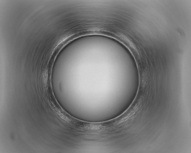 X0000116160831200912071323