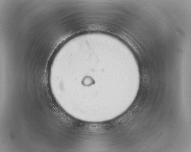 X0000116160832200912071323