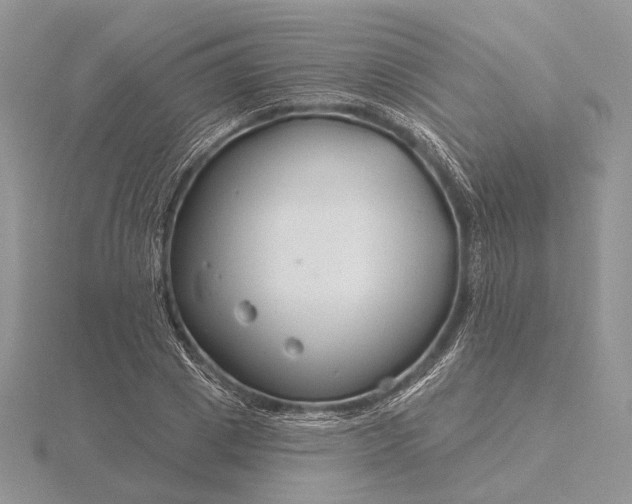 X0000116160833200912071323