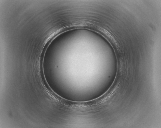 X0000116160834200912071323