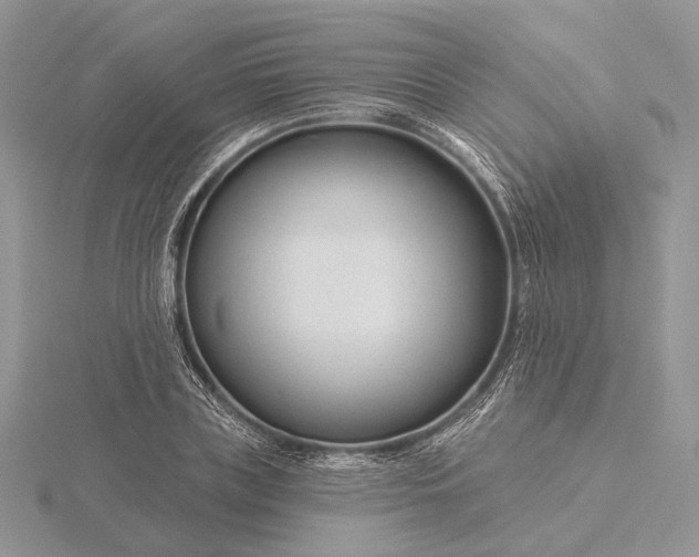 X0000116160835200912071323