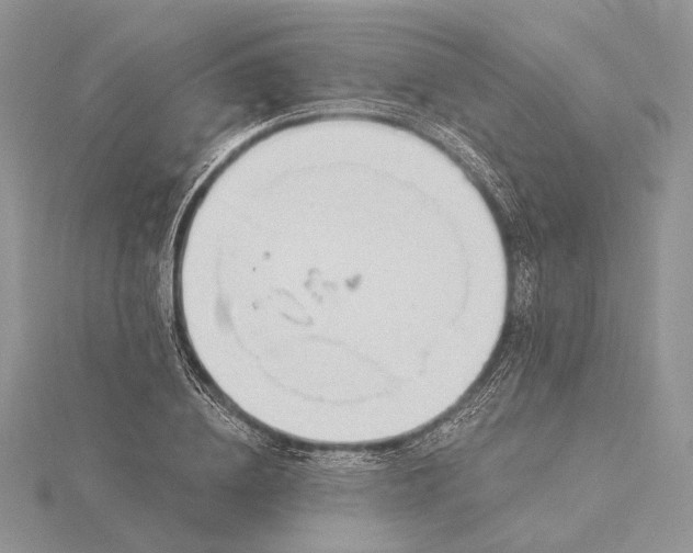 X0000116160836200912071323