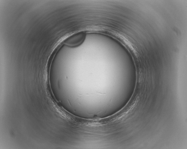 X0000116160837200912071323