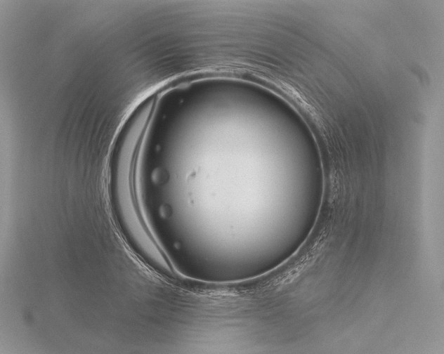 X0000116160838200912071323