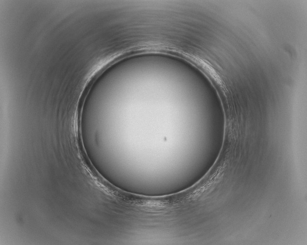 X0000116160839200912071323