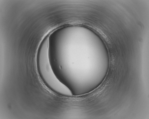 X0000116160840200912071323