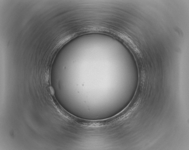 X0000116160841200912071323