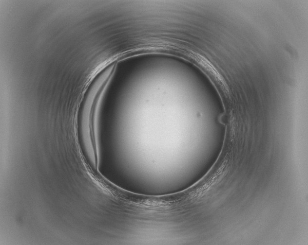 X0000116160842200912071323