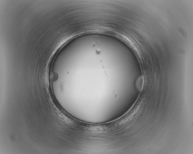 X0000116160843200912071323