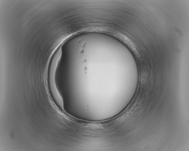 X0000116160844200912071323