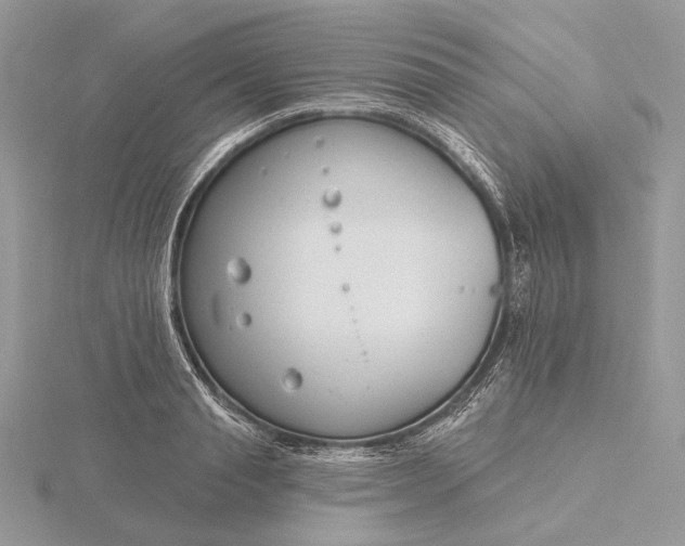 X0000116160845200912071323