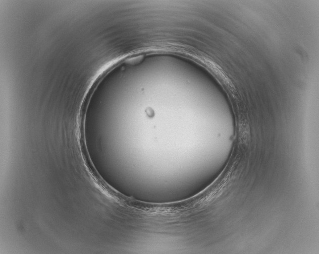 X0000116160846200912071323