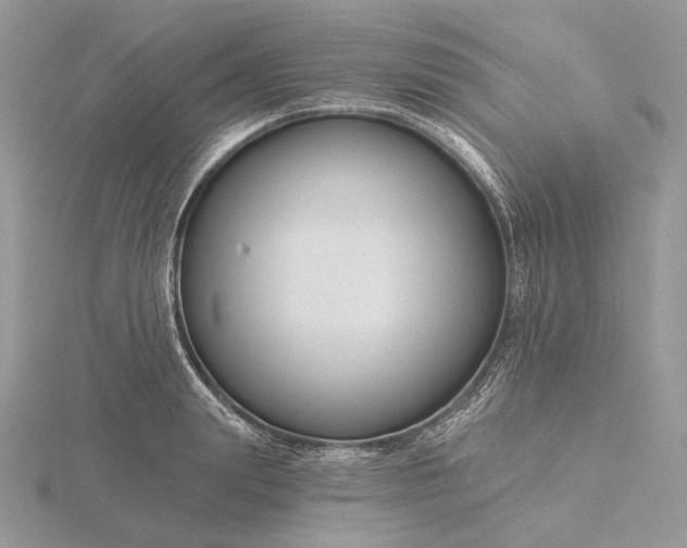 X0000116160847200912071323