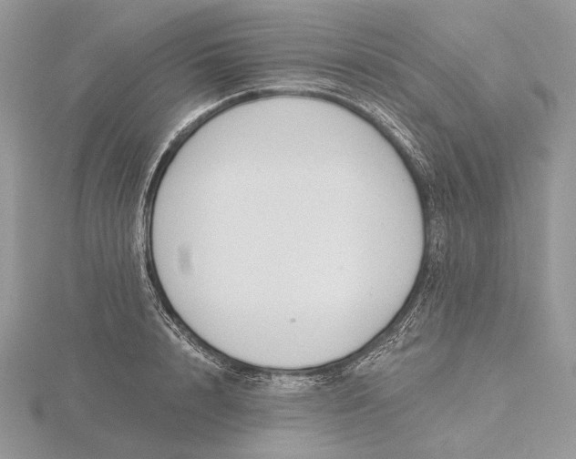 X0000116160848200912071323