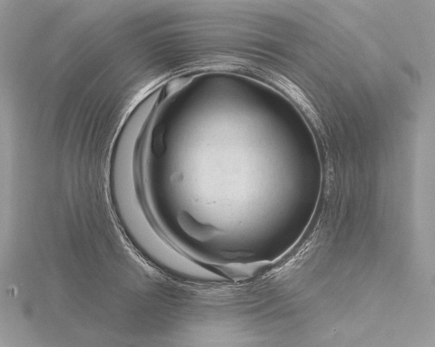 X0000116160850200912071323