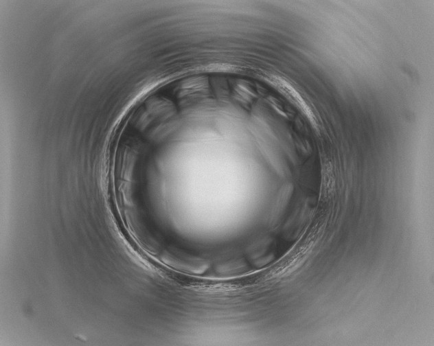 X0000116160851200912071323