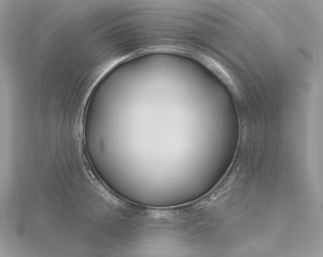 X0000116160852200912071323