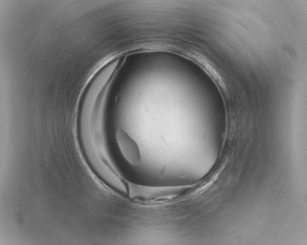 X0000116160853200912071323