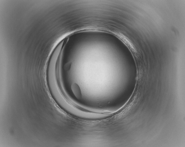 X0000116160854200912071323