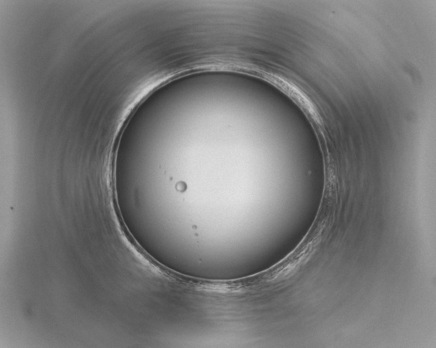 X0000116160855200912071323