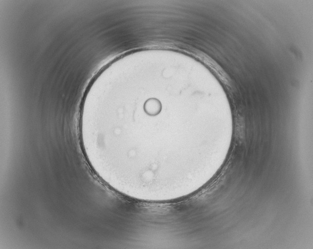 X0000116160856200912071323