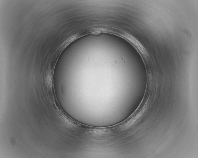 X0000116160857200912071323