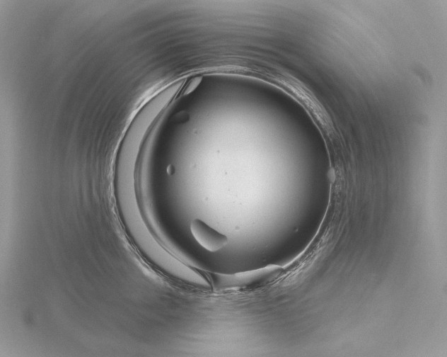 X0000116160858200912071323