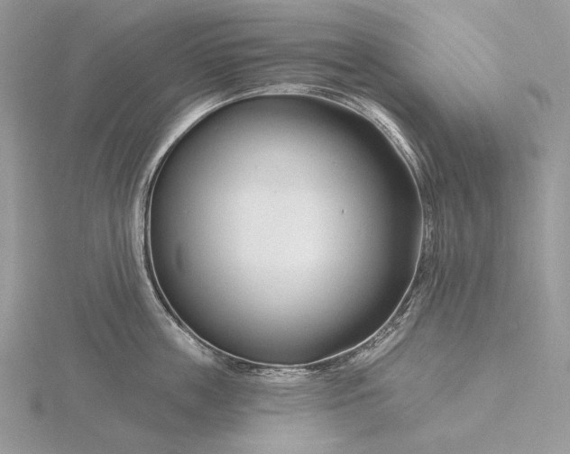 X0000116160859200912071323