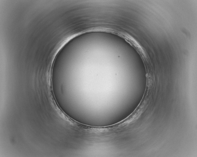 X0000116160860200912071323