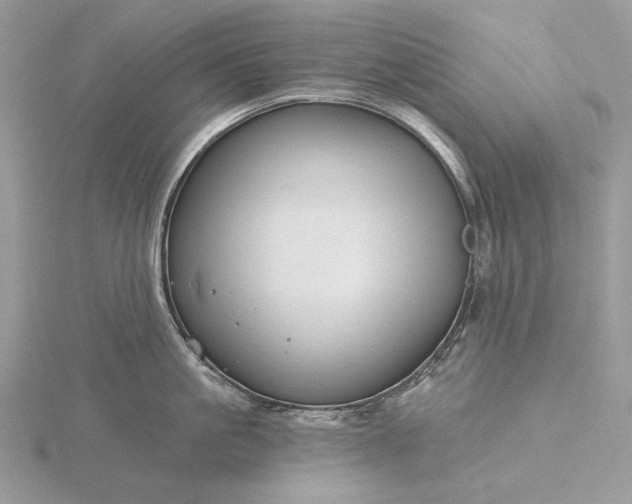 X0000116160861200912071323