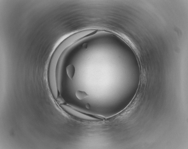 X0000116160862200912071323