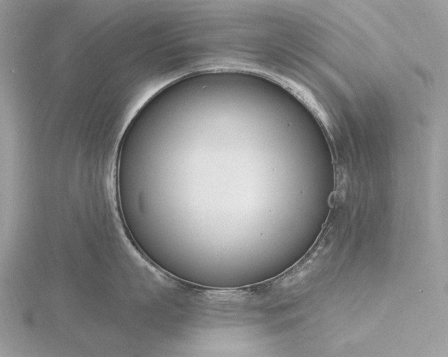 X0000116160863200912071323