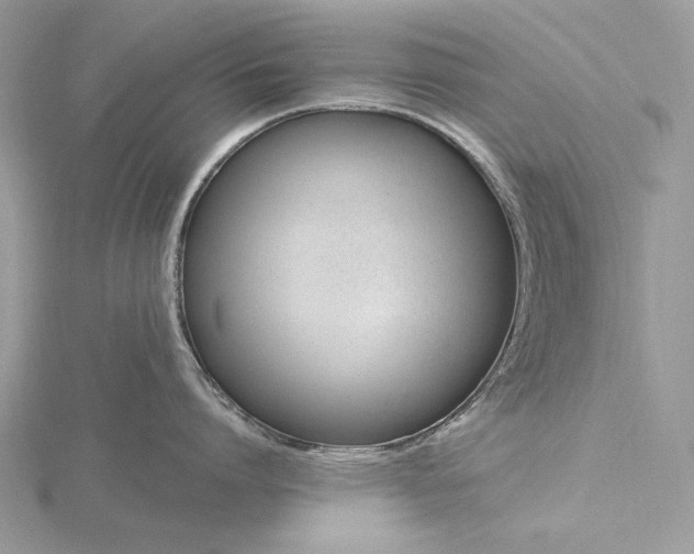 X0000116160864200912071323