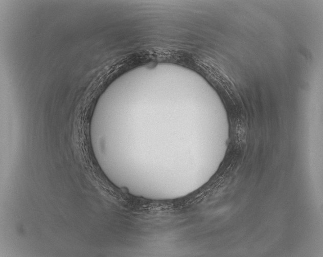 X0000116160865200912071323