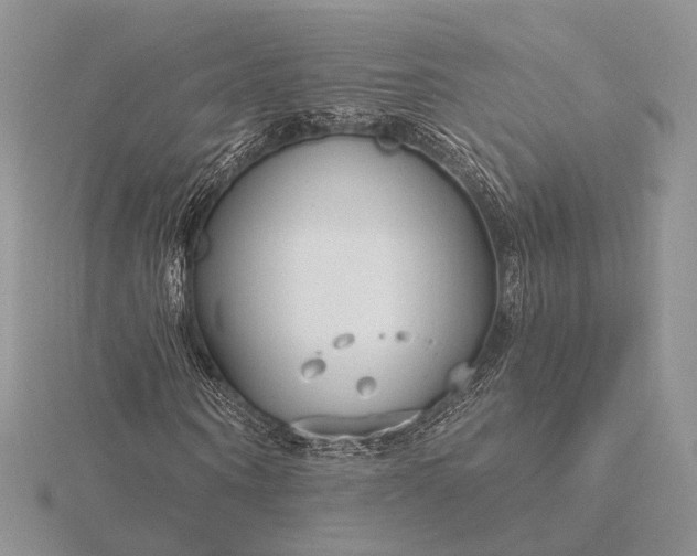 X0000116160866200912071323